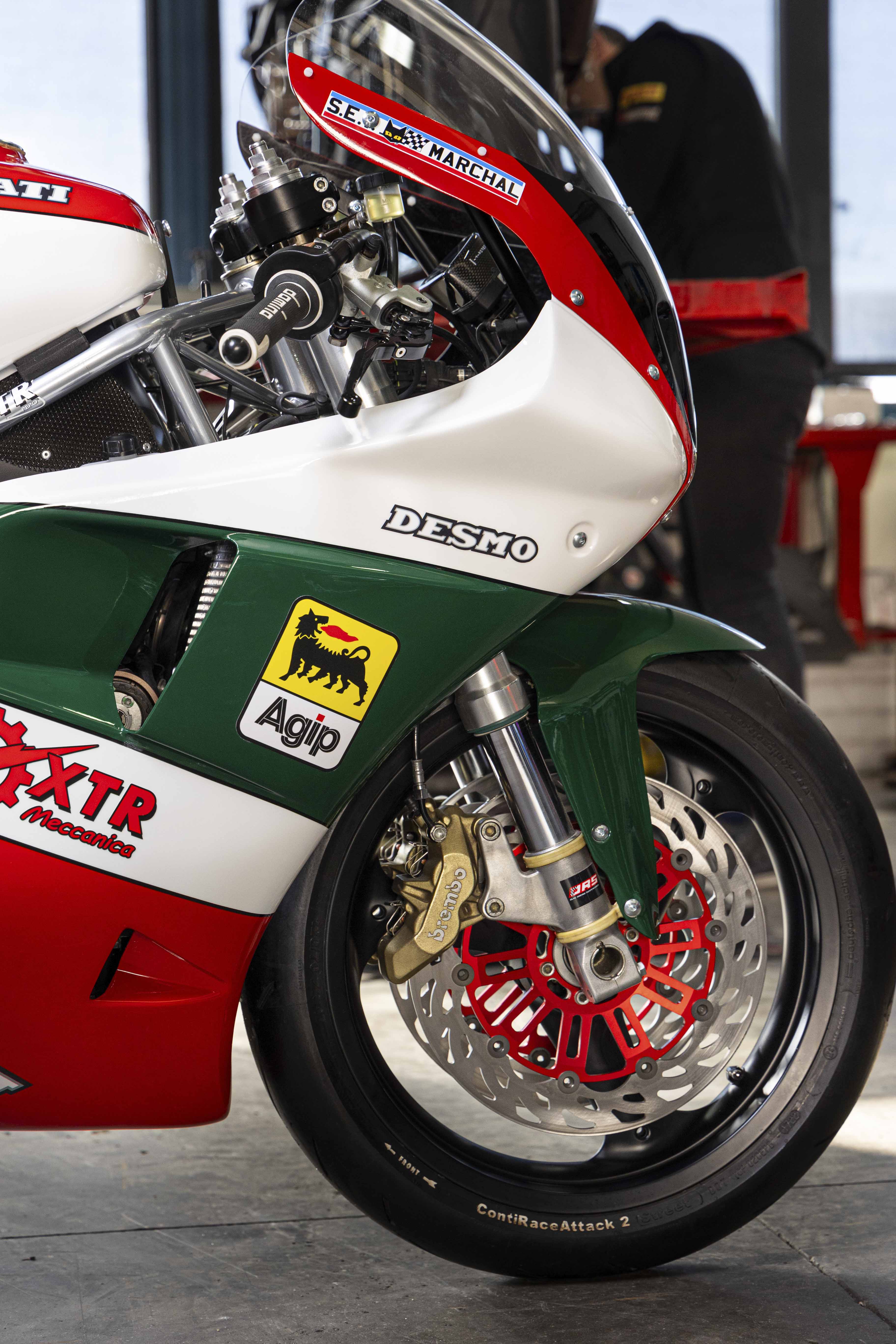 TRICOLORE BY XTR (2024) |